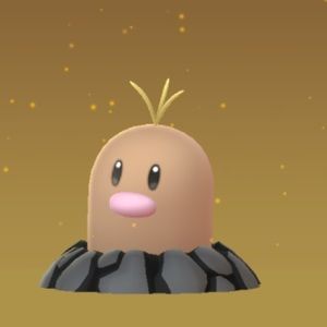 Meet your Posher, Irenee